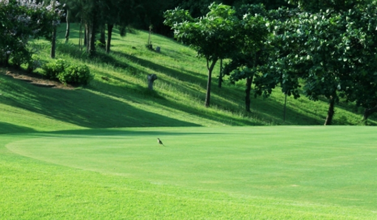 Sân Golf ở Bà Rịa Vũng Tàu