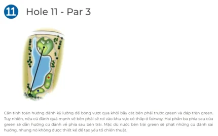 Hố Golf 11 Sân Nicklaus Sân Golf BRG Đà Nẵng - BRG Danang Golf Resort