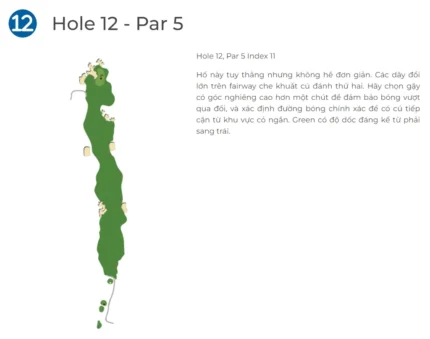 Hố Golf 12 Sân Norman Sân Golf BRG Đà Nẵng - BRG Danang Golf Resort