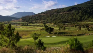 Hố 14 sân golf