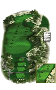 Hình ảnh hố golf 9