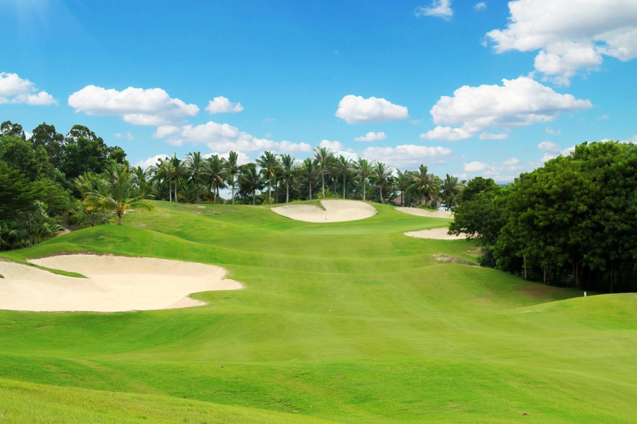 top 2 sân golf ở Bình Thuận chất lượng tốt nhất