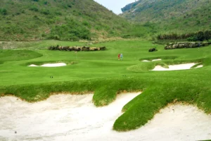 Trải nghiệm chơi golf chuyên nghiệp giữa thiên nhiên tại Legend Valley Country Club.