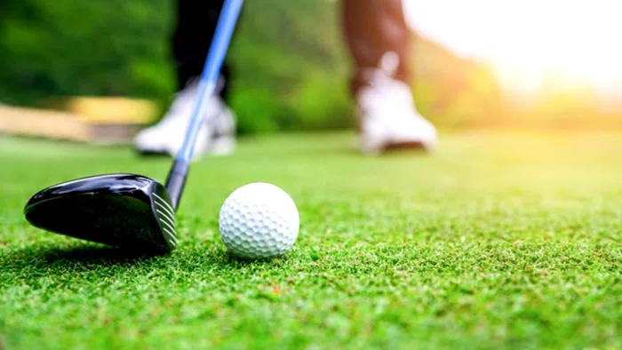 anh dai dien user Alegolf